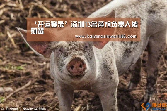 ‘开运登录’深圳13名餐馆负责人被拘留(图2) 开运平台