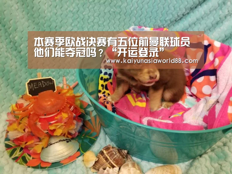 本赛季欧战决赛有五位前曼联球员 他们能夺冠吗?“开运登录”(图1) 开运娱乐