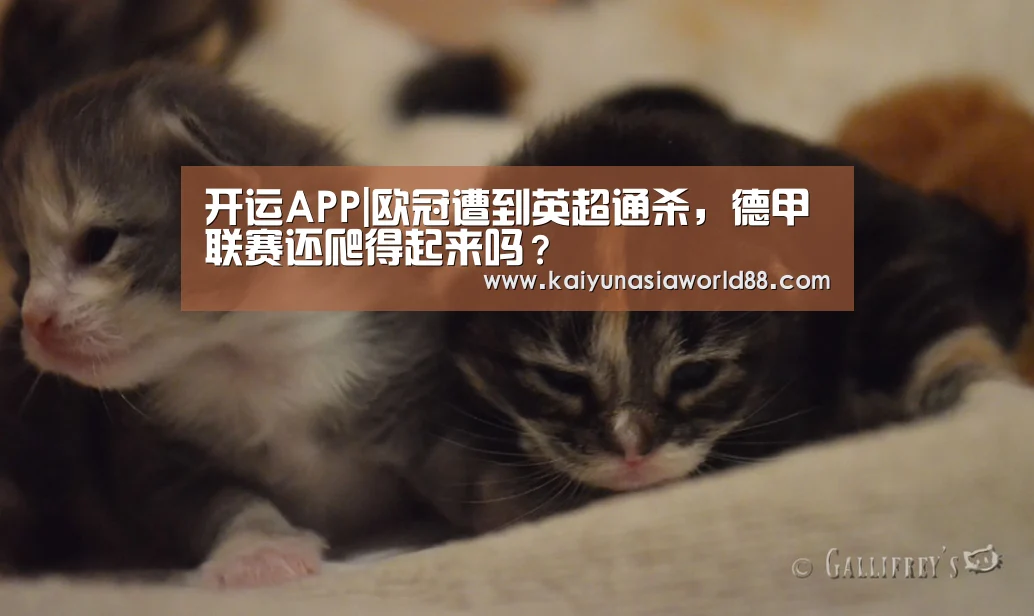 开运APP|欧冠遭到英超通杀,德甲联赛还爬得起来吗?(图2) 开运平台
