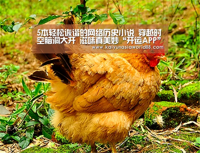 5本轻松诙谐的网络历史小说 穿越时空脑洞大开 滋味真美妙“开运APP”(图1) 开运APP