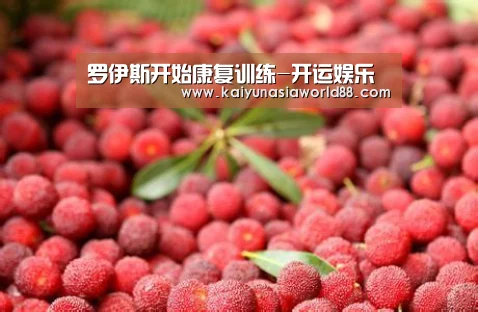 罗伊斯开始康复训练-开运娱乐(图1) 开运APP