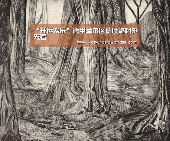 开运登录